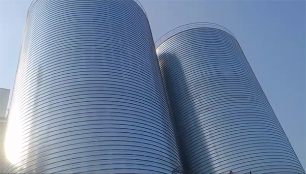 皮山2座混凝土高架卷板仓